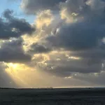 Litehomeatseagoedereede Goedereede