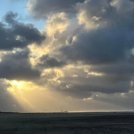 Litehomeatseagoedereede Goedereede