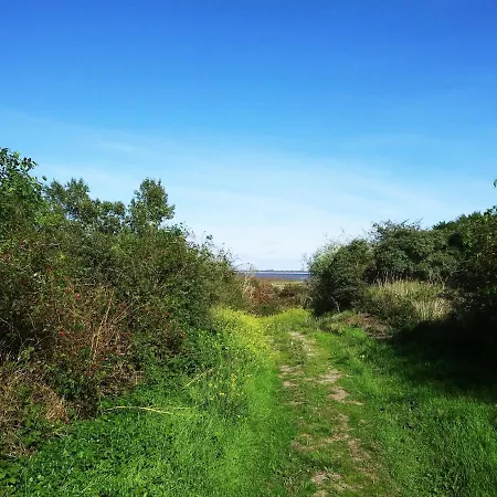 Litehomeatseagoedereede Goedereede