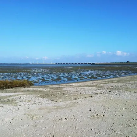 Litehomeatseagoedereede *