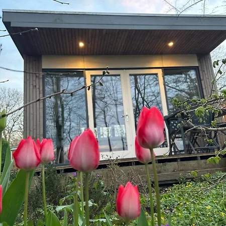 Litehomeatseagoedereede *