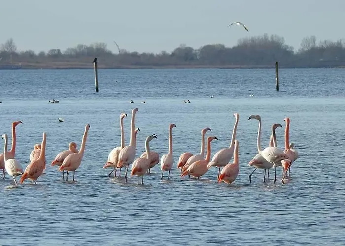 Ferienpark Litehomeatseagoedereede