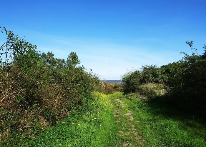 Litehomeatseagoedereede Goedereede