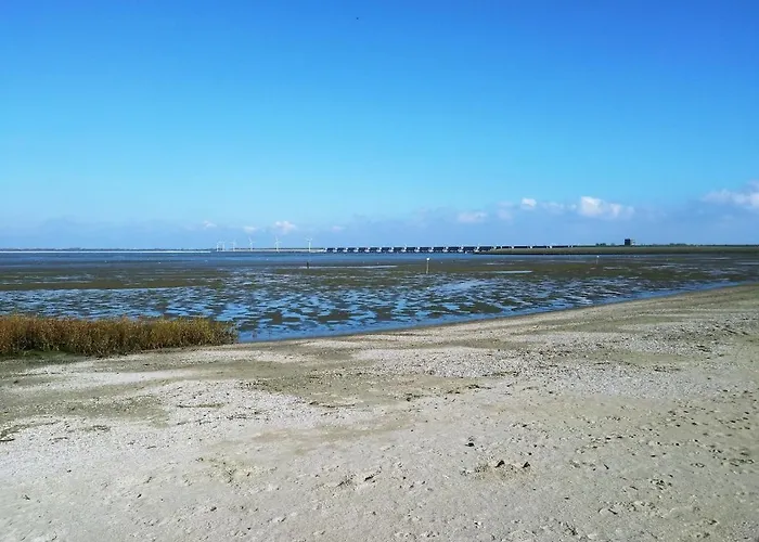 Litehomeatseagoedereede *