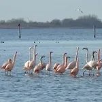 Parque de vacaciones Litehomeatseagoedereede