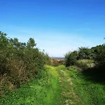 Litehomeatseagoedereede Goedereede
