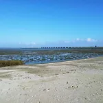 Litehomeatseagoedereede *
