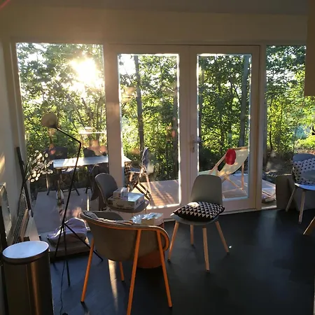 Litehomeatseagoedereede * Goedereede