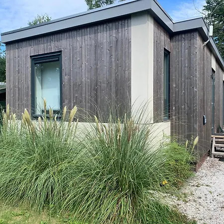 Litehomeatseagoedereede