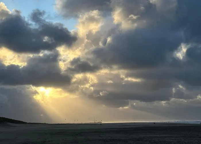 Litehomeatseagoedereede Goedereede