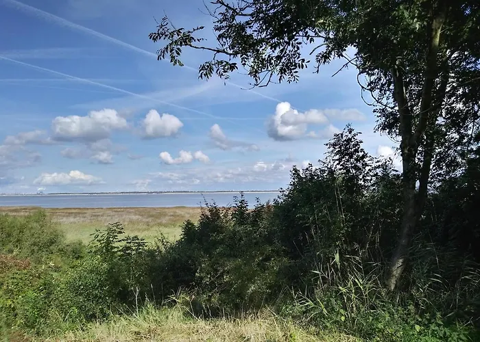 Holiday park Litehomeatseagoedereede *