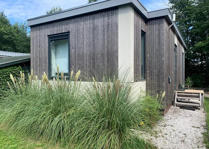 Litehomeatseagoedereede